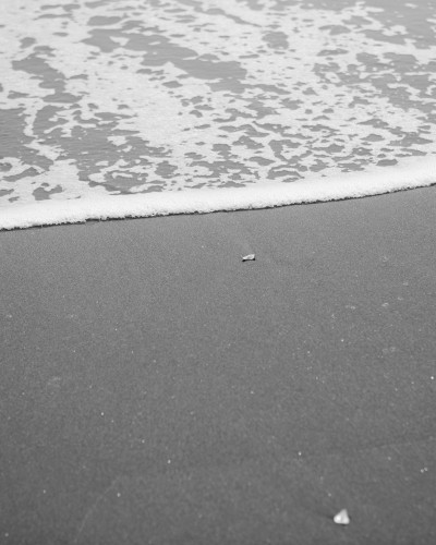 Sample Photo 02